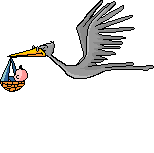 Migrate to Tina's Web Page